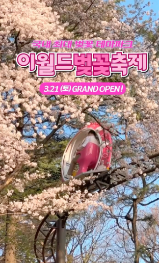 2026 대구 이월드 벚꽃축제